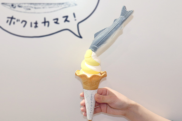 6周年祭-カマスの大運動会-