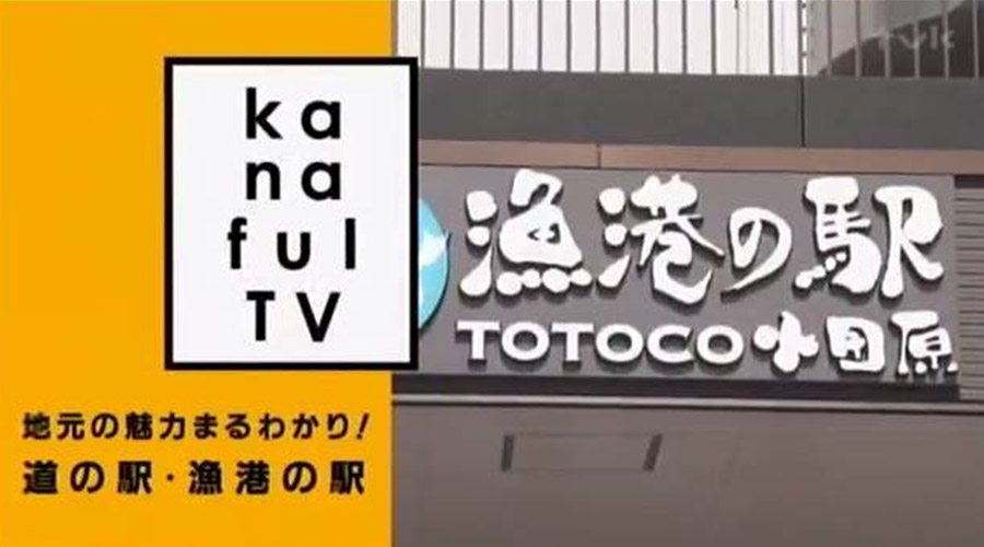 TVK「カナフルTV」でご紹介いただきました。