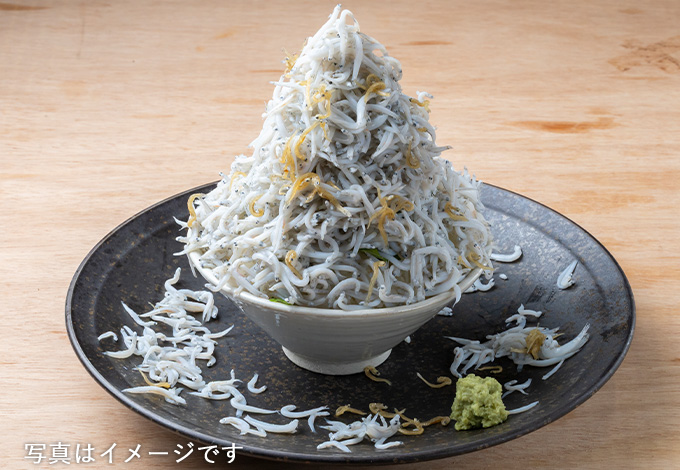 湘南釜揚げしらすどっさり丼