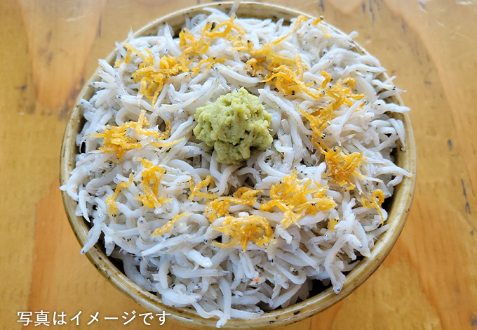 湘南釜揚げしらす丼