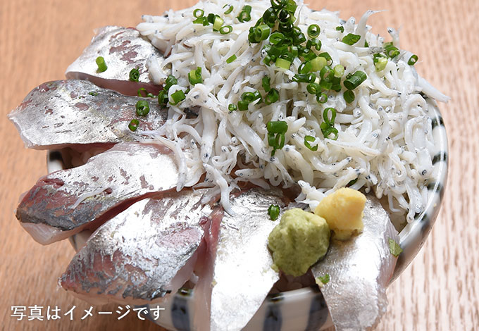 鯵とシラス2色丼