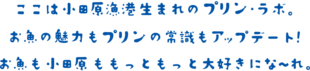 ここは小田原漁港生まれのプリン・ラボ。お魚の魅力もプリンの常識もアップデート！お魚も小田原ももっともっと大好きになーれ。