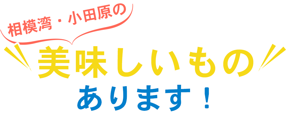 相模湾・小田原の美味しいものあります！